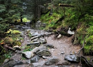 Zabytkowe cerkwie na Spiszu.