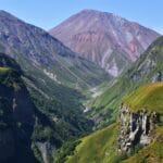 Ptaki i Zwierzęta w Dolinach – Tatry dla Obserwatorów Natury