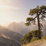 „Spałem w 10 schroniskach” – moje TOP 3 w Tatrach