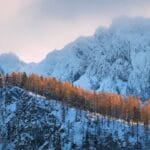 Zaskrońce, padalce i salamandry – górskie spotkania z gadami