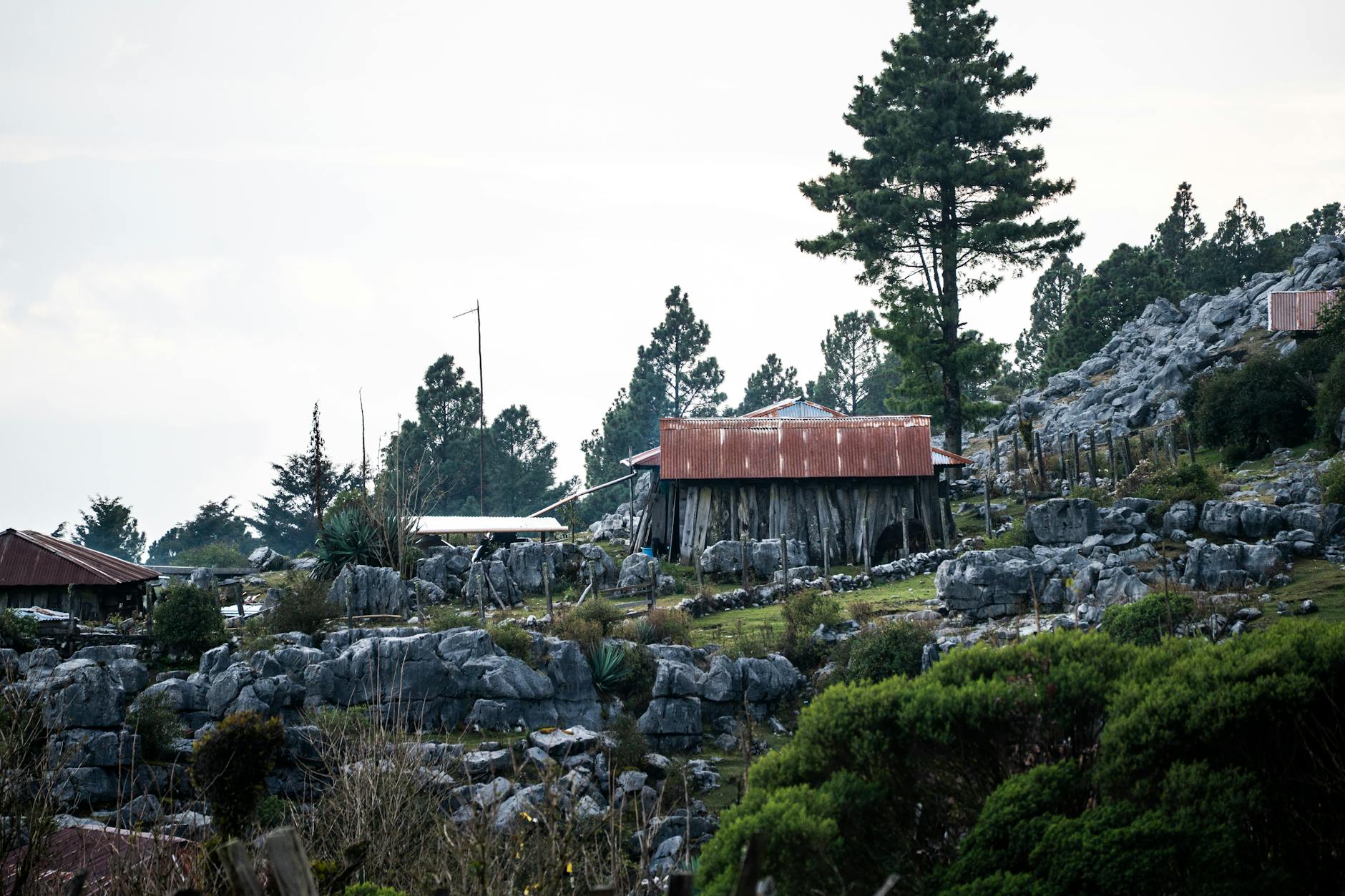 Dania w schroniskach Tatr: ceny, porcje i czego unikać Stara górska chata pośród skalistego, surowego terenu